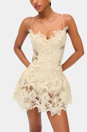 Coco Lace Sleeveless Mini Dress