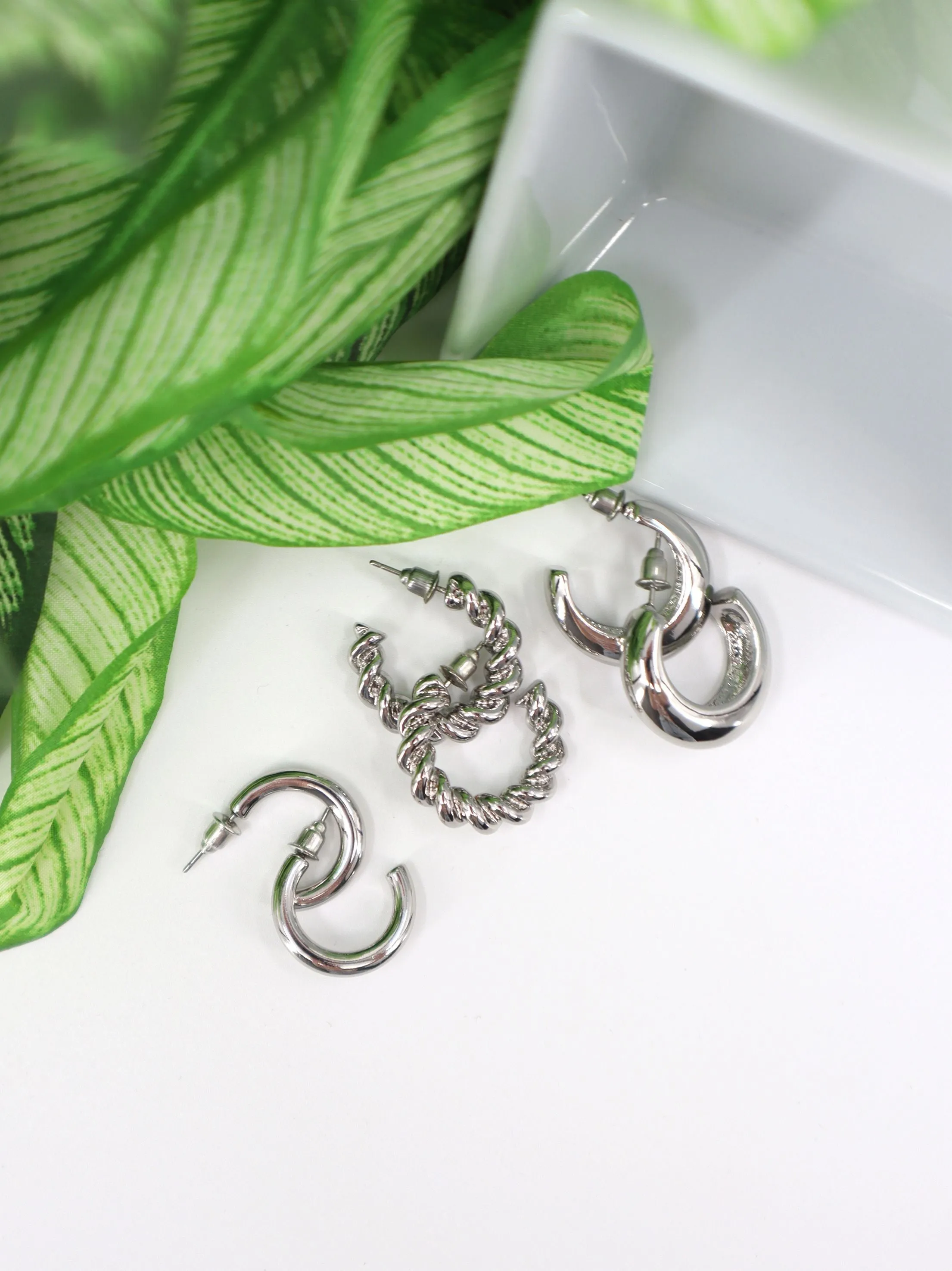 Earrings