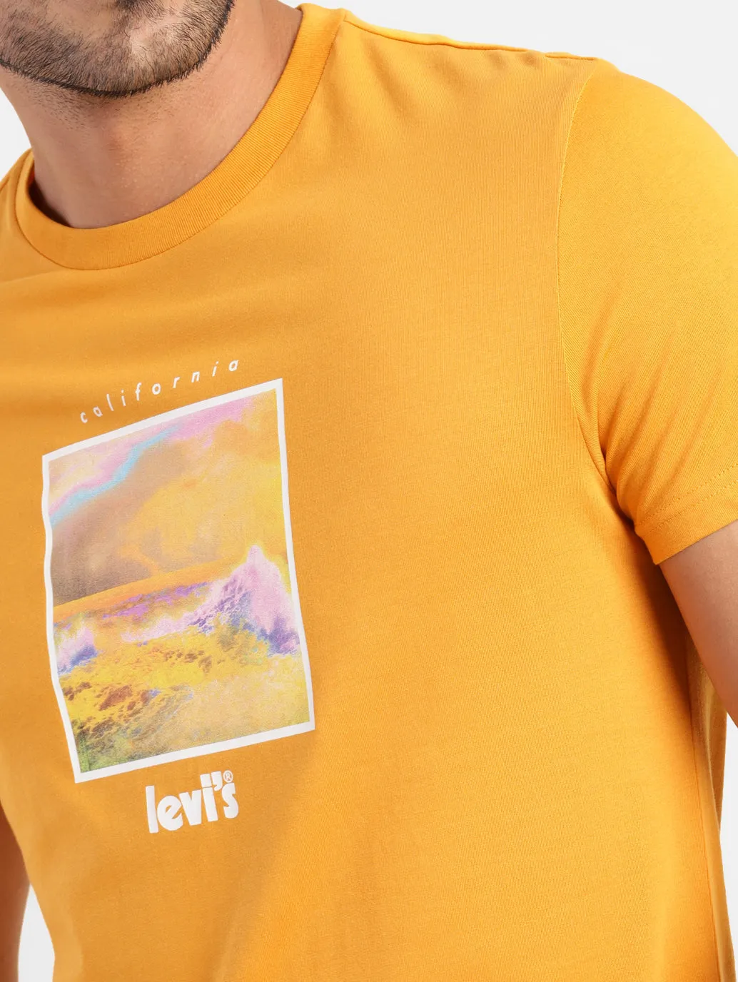 Men's Graphic Print Regular Fit T-shirt LEVI'S