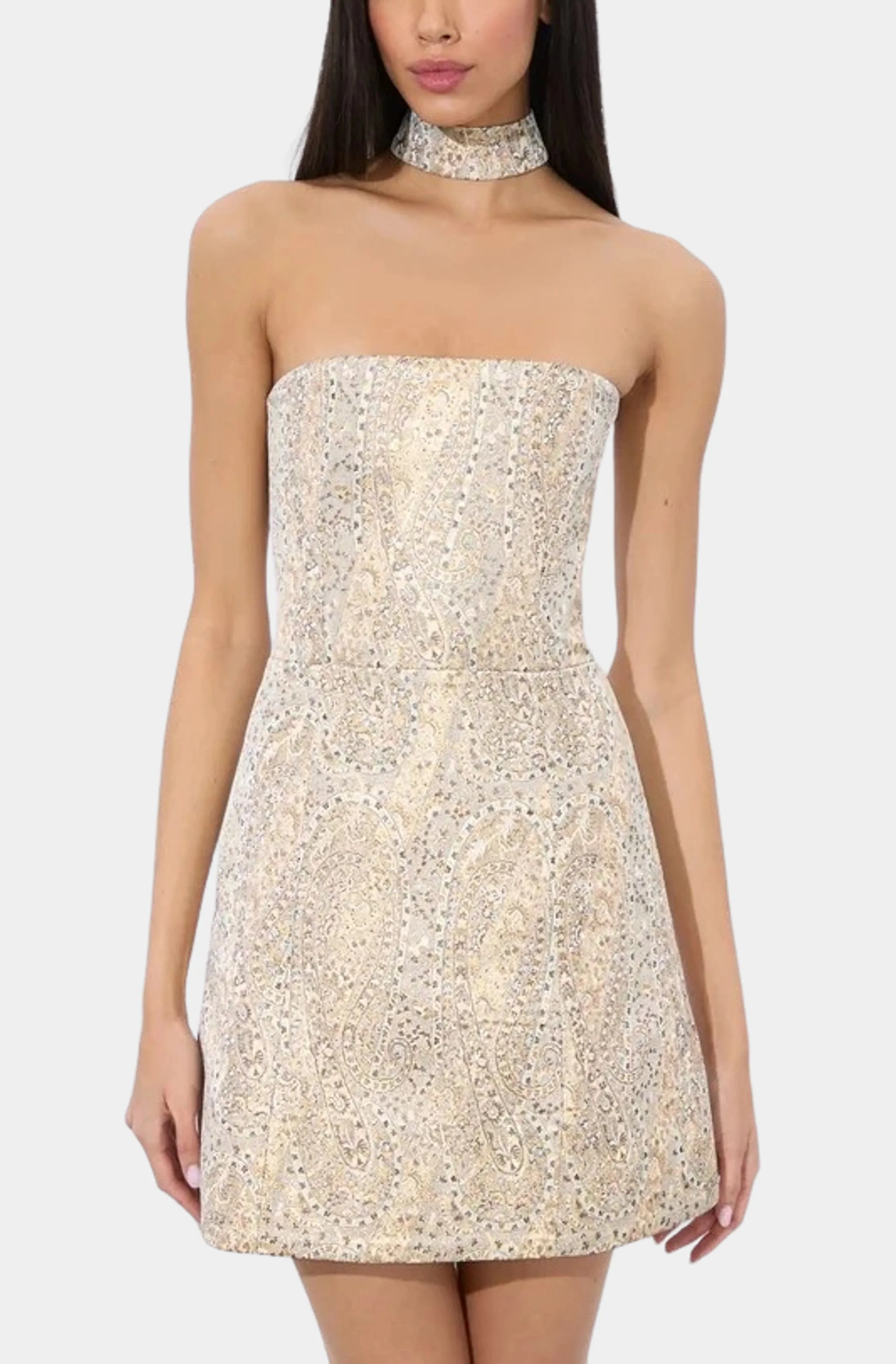 Paige Mini Dress W/ Choker