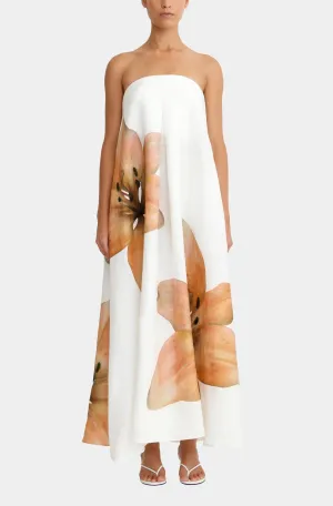 Parisa Maxi Dress