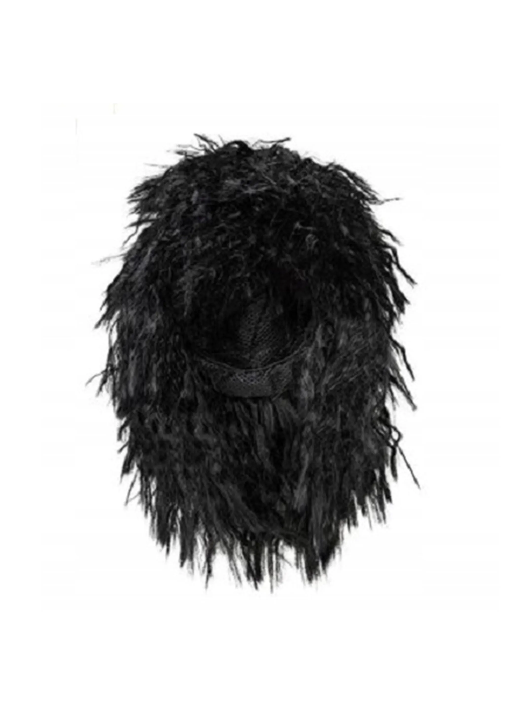 Party Wig