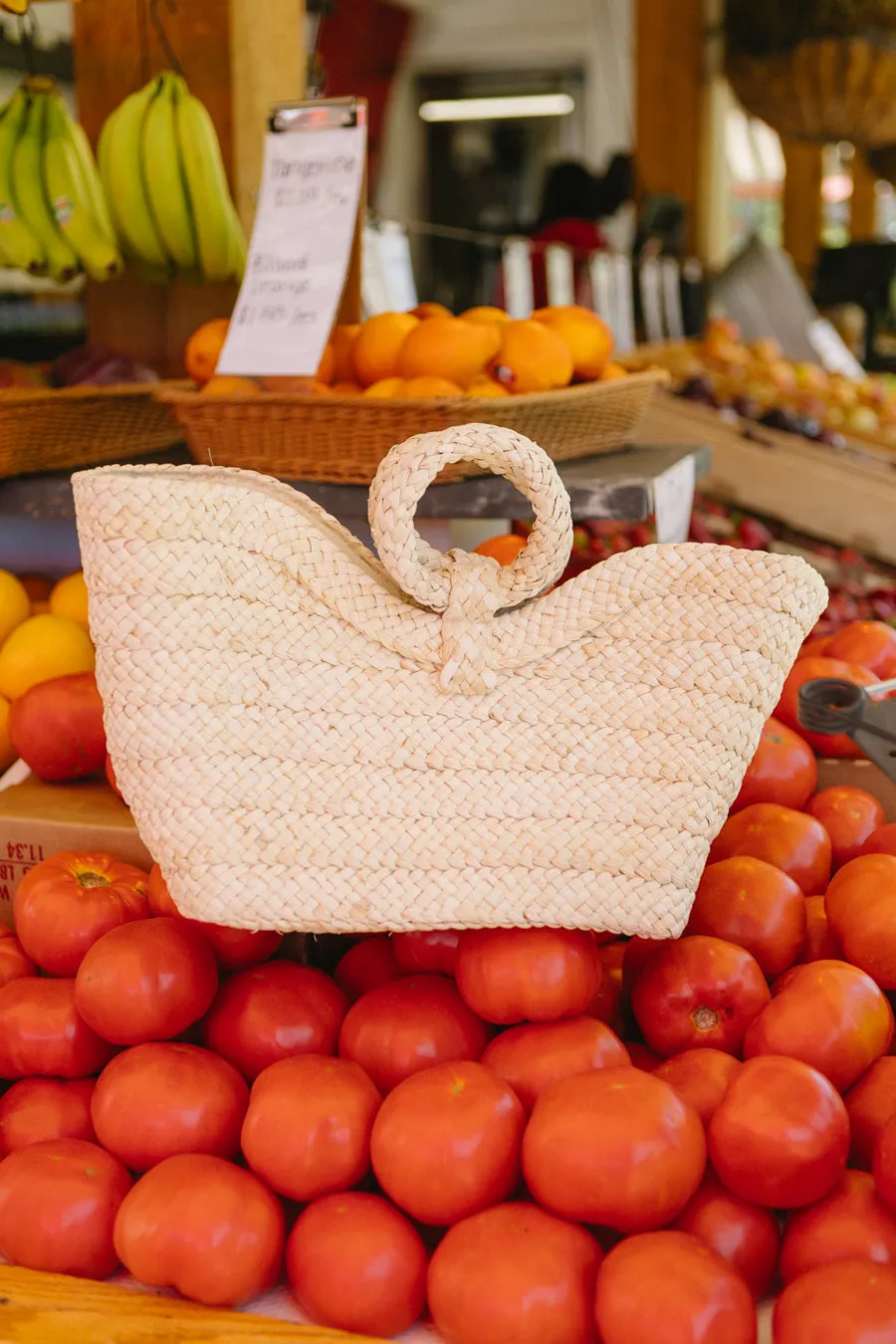 Poolside Cabana Bag
