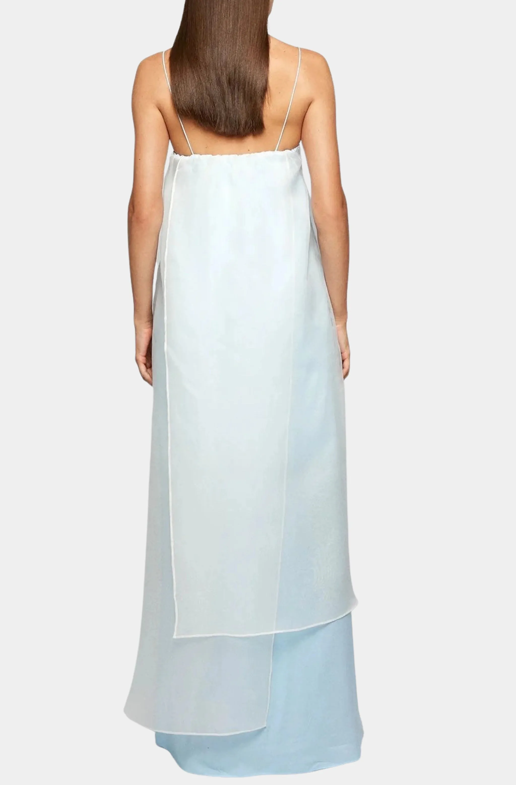 Sheer Slip Maxi Dress